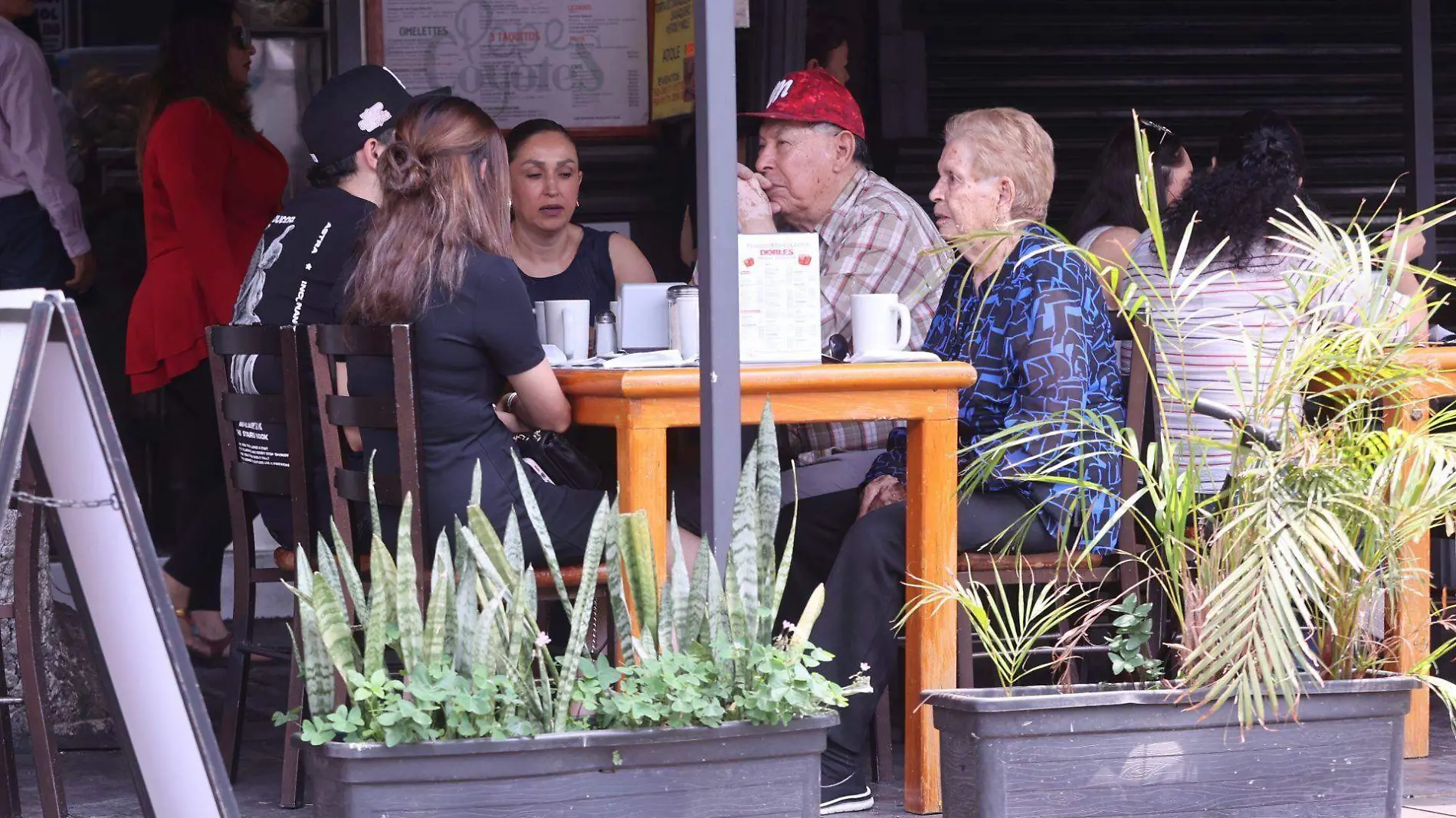 979862_Día de las madres Coyoacán-1_web